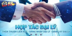 hop-tac-dai-ly